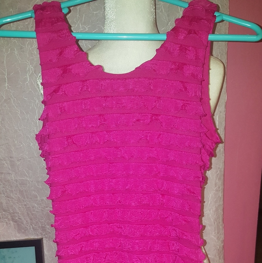 Womans Hot Pink Dress size Small Petite